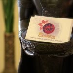 cart-visit-elohim-spa